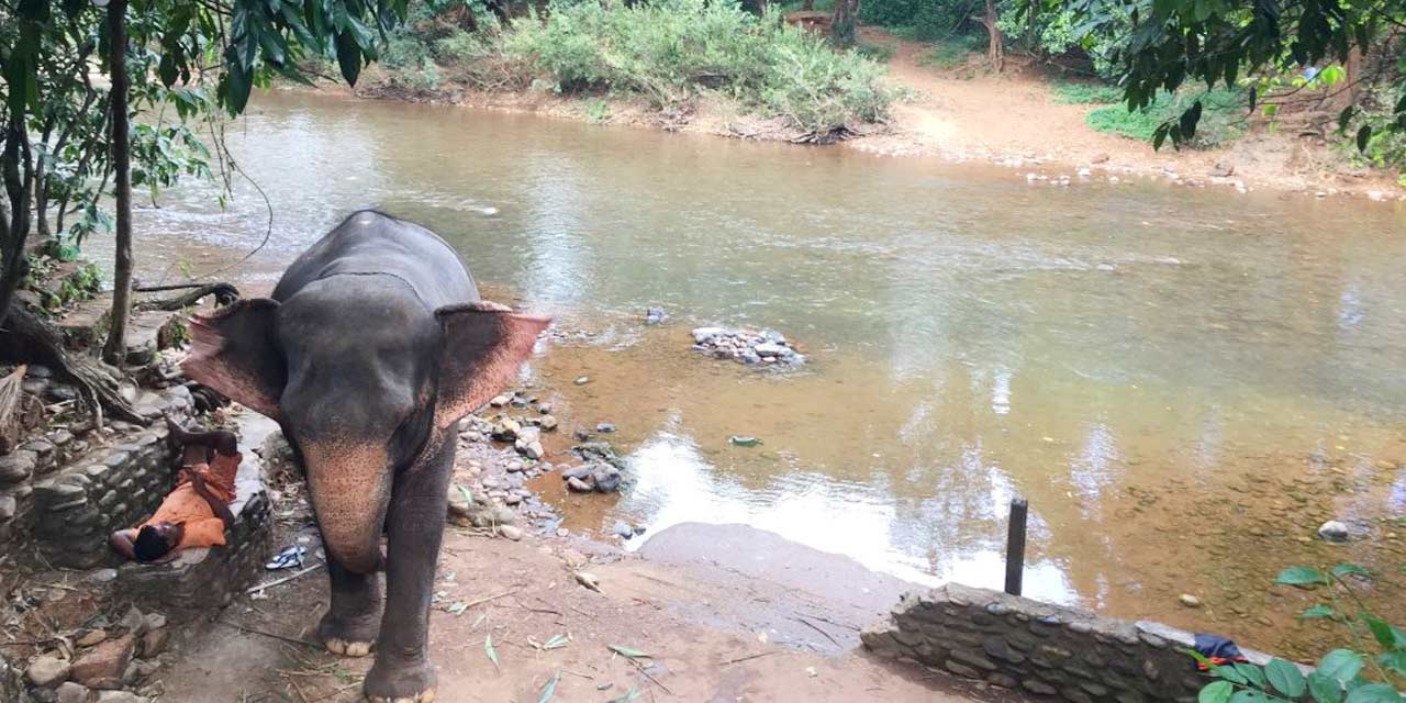 bhagwan-mahavir-wildlife-sanctuary-img